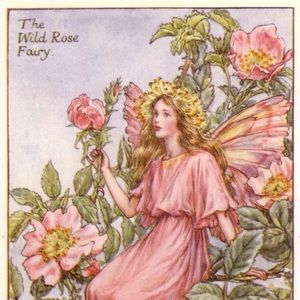 Meet your Posher, Jude